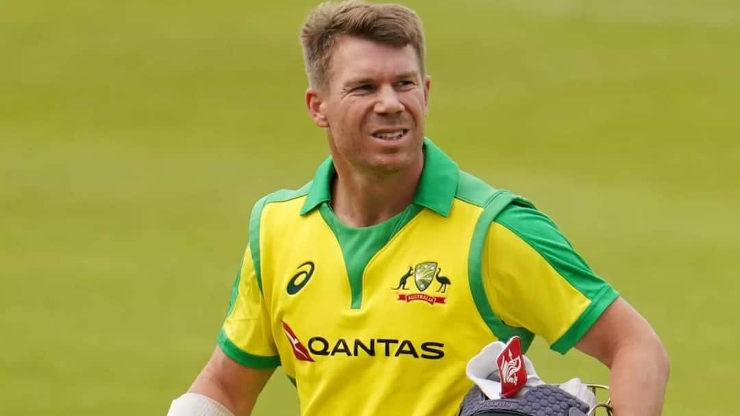 David Warner Case: What did David Warner say in the court? This was a serious allegation