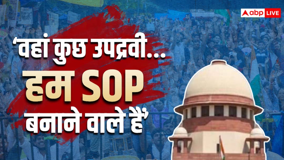 ‘Can’t completely ban pellet guns, there are some miscreants…’, SC issues notice to Centre.