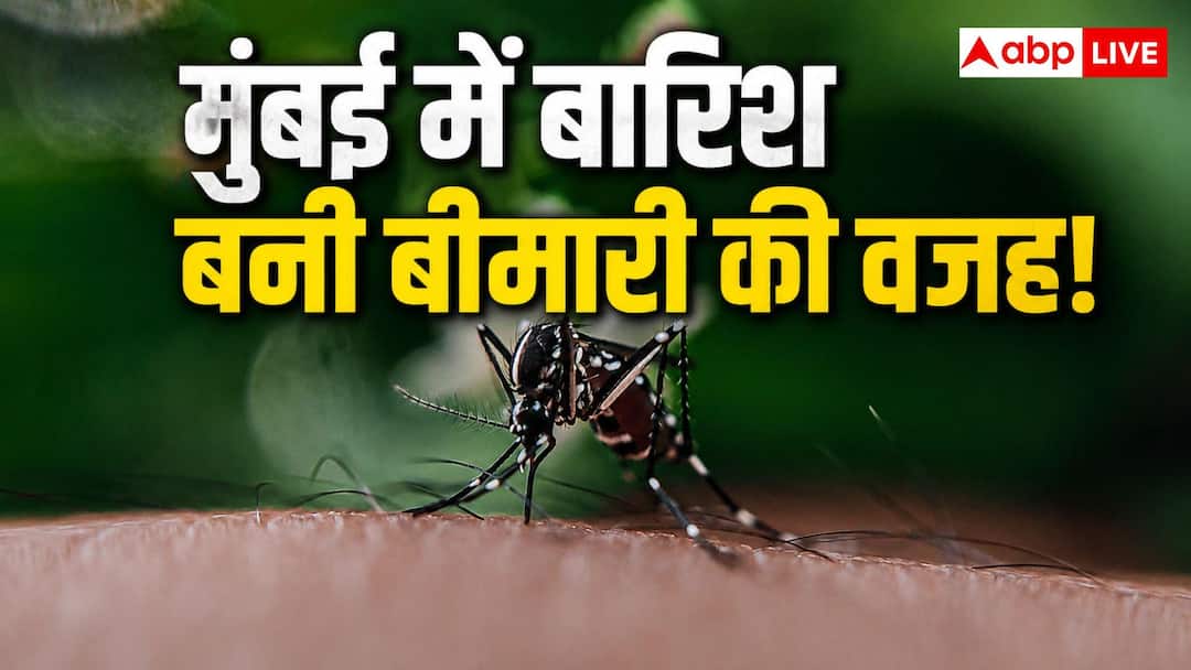 Dengue Outbreak in Mumbai: Risk of diseases increases with rain! Dengue-swine flu cases increase rapidly in Mumbai
