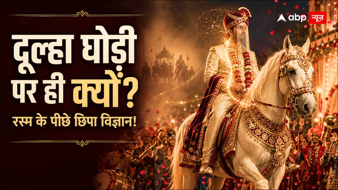 Why does the groom come only on a mare? There is an interesting story hidden behind this wedding ritual.